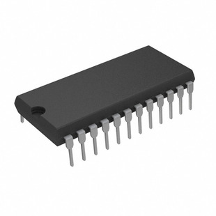 DS17487-3IND